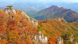 전경사진 | 자연자원 | 대둔산 | 충청남도 도립공원 충청남도