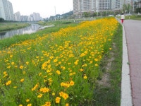 톡톡수다방(보기) | CJ제일제당 톡톡수다방(보기)