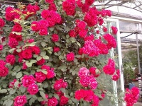 톡톡수다방(보기) | CJ제일제당 톡톡수다방(보기)