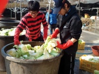 청강문화산업대학교 김장 김치 담그기 자원봉사활동 함께 해요~