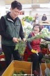 [예수 부활 대축일] 부활을 사는 사람들- 꽃집 운영하는 이종임, 권병세씨 부부 | 가톨릭평화신문 [예수 부활 대축일] 부활을 사는 사람들- 꽃집... 