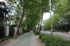 		창의인성교육넷(크레존) - 화랑로 단풍과 낙엽의 거리	 화랑로 단풍과 낙엽의 거리 