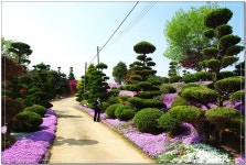 창의인성교육넷(크레존) - 창평 삼지천 슬로시티 창평 삼지천 슬로시티