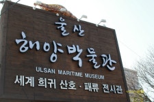 창의인성교육넷(크레존) - [울산해양박물관]산호와 패류의 나라로 GO!: Page 3 [울산해양박물관]산호와 패류의 나라로 GO!