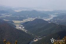 		창의인성교육넷(크레존) - 법성 느티나무군	 법성 느티나무군