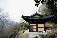 		창의인성교육넷(크레존) - 세계야외공연축제 2005 – 경기	 세계야외공연축제 2005 - 경기