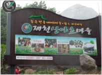 창의인성교육넷(크레존) - 능강야생화단지 능강야생화단지