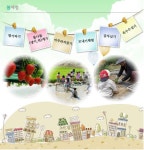 창의인성교육넷(크레존) - 명품 단감 수확 명품 단감 수확