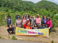 CTN - 확실하고 진실된 뉴스!-보은, 속리산면 북암1리 부녀회 코로나19 대응 농촌 일손돕기 실시 보은, 속리산면 북암1리 부녀회 코로나19... 