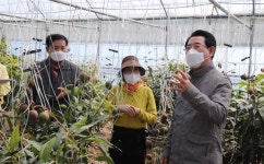 CTN - 확실하고 진실된 뉴스!-김영록 전남도지사, 장흥 애플망고 재배 현장 살펴 김영록 전남도지사, 장흥 애플망고 재배 현장 살펴 