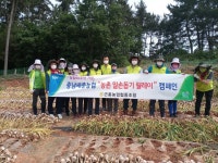 CTN - 확실하고 진실된 뉴스!-태안 근흥농협, 농촌일손돕기 구슬땀 태안 근흥농협, 농촌일손돕기 구슬땀