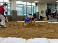 CTN - 확실하고 진실된 뉴스!-보령교육지원청, 충남소년체육대회 금 27·은 16·동 24 쾌거 보령교육지원청, 충남소년체육대회 금 27·은 16... 