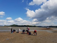 CTN - 확실하고 진실된 뉴스!-가로림만 해양정원 예타기원, 가로림픽 열린다 가로림만 해양정원 예타기원, 가로림픽 열린다