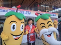 Foto aus Naver-Suchergebnissen 5