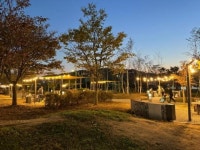 CTN - 확실하고 진실된 뉴스!-충주시 대표 명소로 자리잡은 탄금호 피크닉 공원 충주시 대표 명소로 자리잡은 탄금호 피크닉 공원