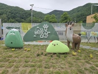 CTN - 확실하고 진실된 뉴스!-배꼽마을, 노루와 산 배꼽마을, 노루와 산