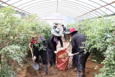 CTN - 확실하고 진실된 뉴스!-청양군, 이웃 부여군 수해복구 지원 활동 구슬땀 청양군, 이웃 부여군 수해복구 지원 활동 구슬땀