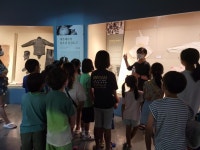 CTN - 확실하고 진실된 뉴스!-[제주] 물소중이 가 뭔지 아세요? [제주] 물소중이 가 뭔지 아세요?