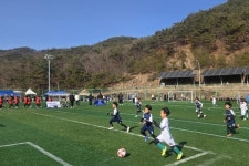 보은합동인쇄공사 | CTN - 확실하고 진실된 뉴스!-보은군, 불법현수막 없는 깨끗한 거리 보은군, 불법현수막 없는 깨끗한 거리
