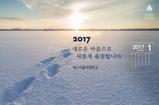 대구가톨릭대학교 대표홈페이지 DCU월페이퍼