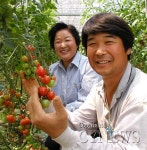 우리의이웃; 목면 송암1리 고재국 김순진씨 부부 - 청양신문 우리의이웃; 목면 송암1리 고재국 김순진씨 부부