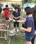 “목장에서 산양 젖 짰어요” - 청양신문 “목장에서 산양 젖 짰어요”