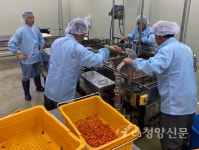 군, 구기자 1천억 시장 창출 잰걸음 - 청양신문 군, 구기자 1천억 시장 창출 잰걸음
