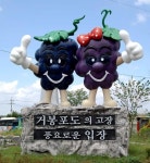 기술력 하나로 모으다 - 품목농업인연구회⑥ - 청양신문 기술력 하나로 모으다 - 품목농업인연구회⑥