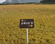 노둣길 사색, 마음 갈무리 - 순례자의 섬② - 청양신문 노둣길 사색, 마음 갈무리 - 순례자의 섬②
