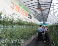 구기자연구회, 농산물 생산단지 ‘우수상’ - 청양신문 구기자연구회, 농산물 생산단지 ‘우수상’