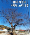 그리운 내 고향 - 장평면 미당 ④ - 청양신문 그리운 내 고향 - 장평면 미당 ④