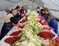 “매콤한 김장김치로 따뜻한 겨울 나세요” - 청양신문 “매콤한 김장김치로 따뜻한 겨울 나세요”