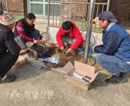 장평면주민자치회, 찾아가는 영화관 - 청양신문 장평면주민자치회, 찾아가는 영화관