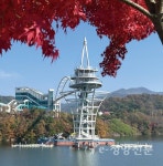 가을 입은 ‘칠갑타워’ 손님맞이 ‘한창’ - 청양신문 가을 입은 ‘칠갑타워’ 손님맞이 ‘한창’