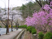 팔공산자연공원관리사무소게시판 | 대구광역시 팔공산자연공원관리사무소
