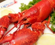  대구푸드 > 주제별맛집 > 입식좌석 고급음식점  대구푸드