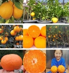대림원예종묘(주)