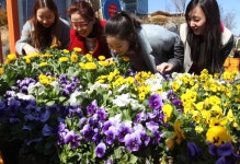 진천교성지구 도시개발사업 본 궤도 - 충청인의 새아침, 충청신문 