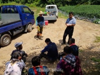 영양군, 폭염 장기화에 따른 숲가꾸기 사업장 안전관리 강화 [데일리대구경북뉴스] 영양군, 폭염 장기화에 따른 숲가꾸기 사업장 안전관리 강화