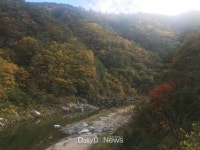 울진군, 왕피천 가을 생태체험 행사 진행 [데일리대구경북뉴스] 울진군, 왕피천 가을 생태체험 행사 진행