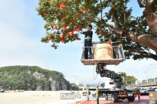 청송군, 제15회 청송사과축제 준비‘한창’ [데일리대구경북뉴스] 청송군, 제15회 청송사과축제 준비‘한창’