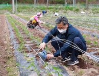 오도창 영양군수, 영농현장 방문 격려
