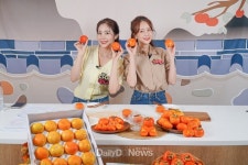 청도군, ‘반시 ON나, 청도로 온나’