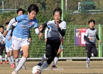 경주시, 2022 화랑대기 전국유소년축구대회 8월 3일 개최