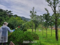 김천시 시설관리공단, 사명대사공원 시민들의 편안한 휴식처로 조성 [데일리대구경북뉴스] 김천시 시설관리공단, 사명대사공원 시민들의 편안한... 