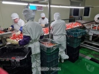 고령군, 생산·가공·체험·창업 등 공동인프라 구축