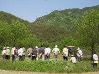 게시물 보기 페이지