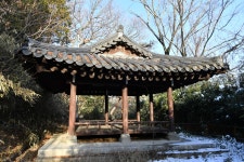 게시물 보기 페이지