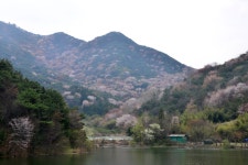 게시물 보기 페이지