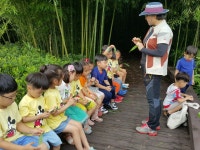 게시물 보기 페이지